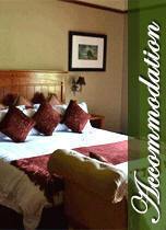 accommodation bed and breakfast four star lodge katberg