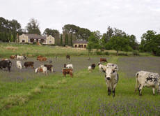 fort beaufort accommodation