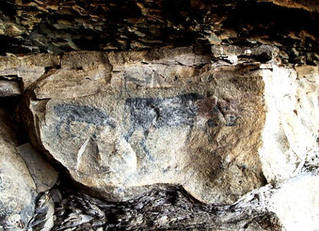 history art rock paintings accommodation fort beaufort guesthouse activities