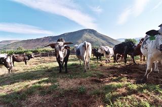 accommodation site seeing katberg fort beaufort four star lodge